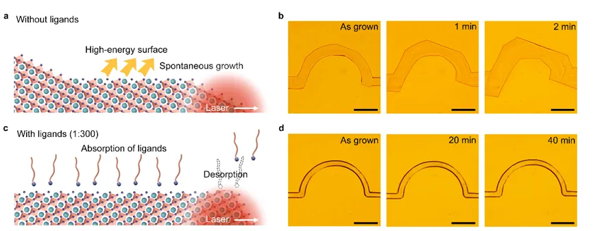 remote.png s6643123873ab5.png