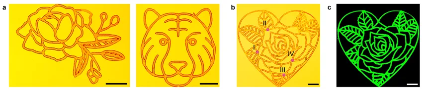 remote.png s6643125c83bb4.png