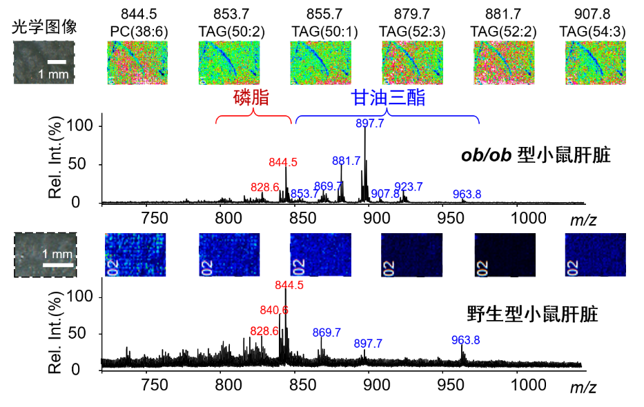 remote.png 而改为.png