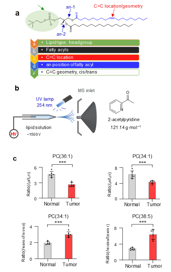 remote.png 和我说然后.png
